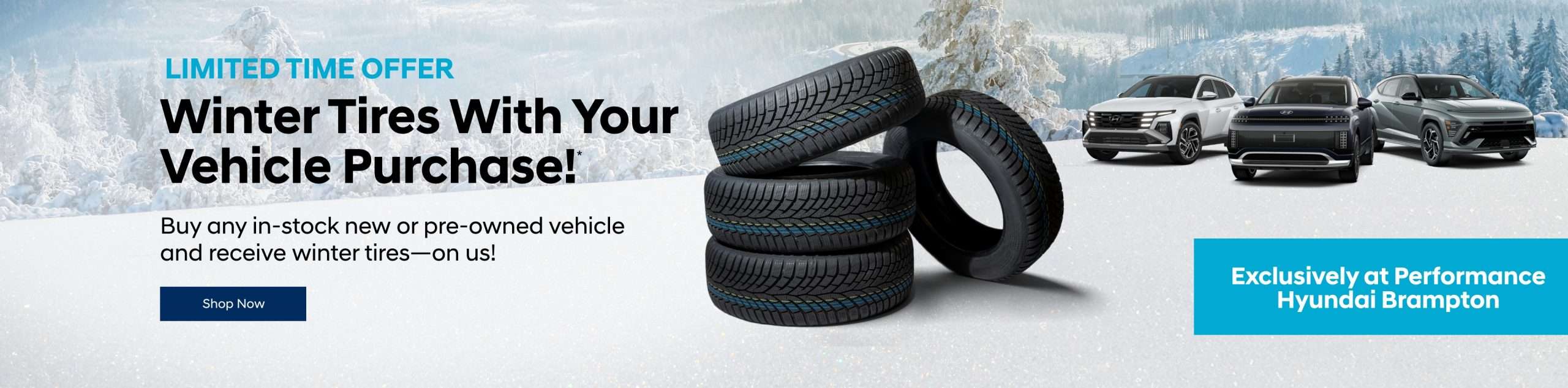 Limited Time Offer | Winter Tires With Your Vehicle Purchase!