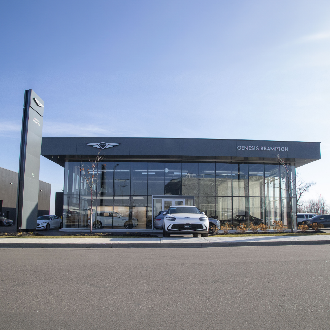 Genesis Brampton