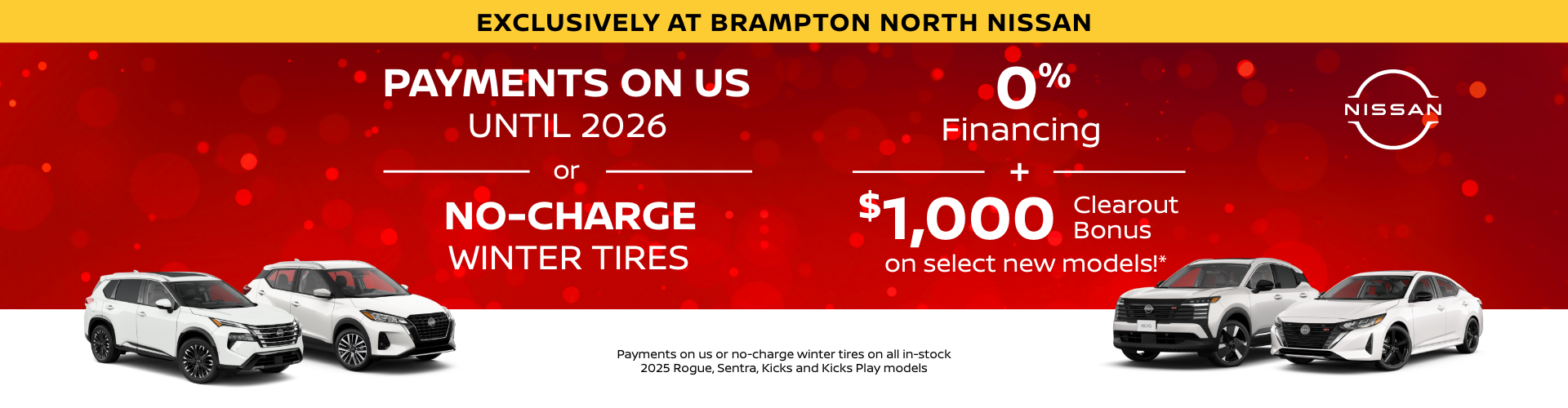 08NIBR-2025-10-HERO-SLIDER-DESKTOP-1920x500_FLASH-SALE slider_widget-16-0