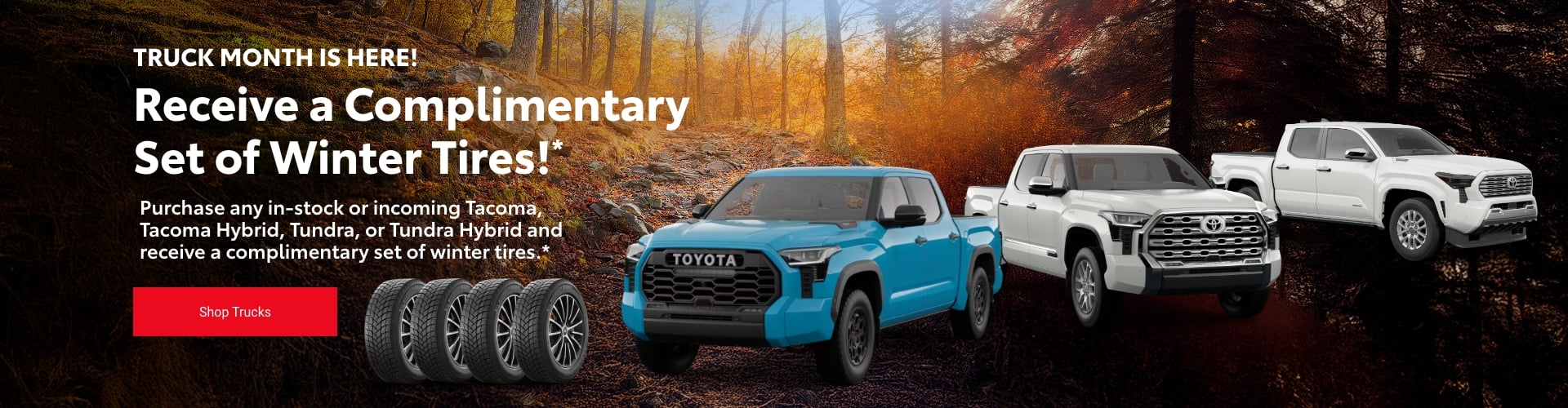 Truck Month Is Here! Receive a Complimentary Set of Winter Tires!* Truck Month Is Here! Receive a Complimentary Set of Winter Tires!*