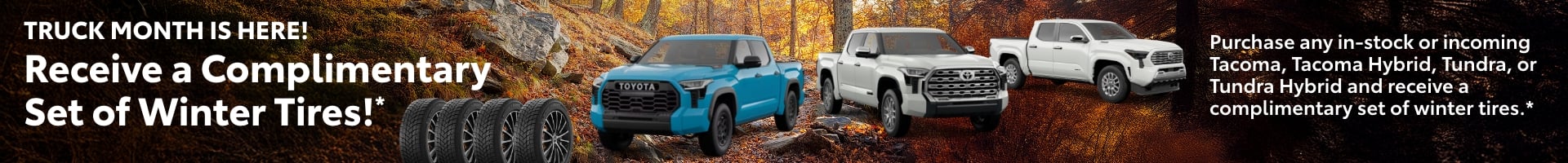 Truck Month Is Here! Receive a Complimentary Set of Winter Tires!*