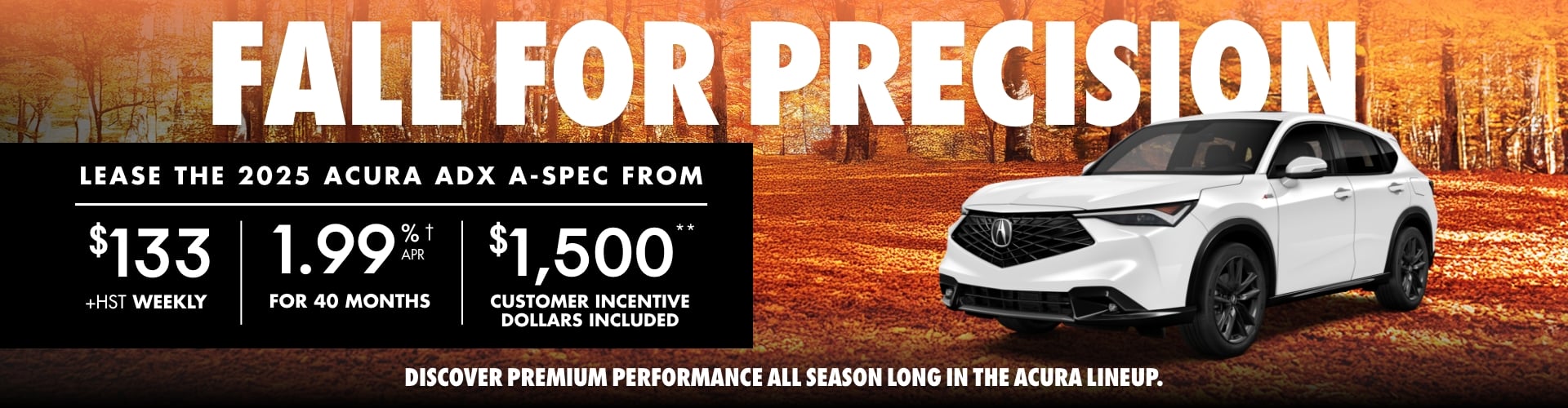 Fall For Precision slider_widget-8-1
