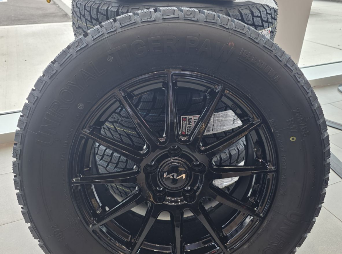 Uniroyal Tiger Paw winter tire