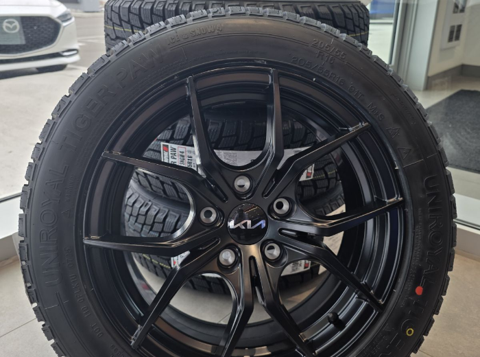 Uniroyal Tiger Paw winter tire