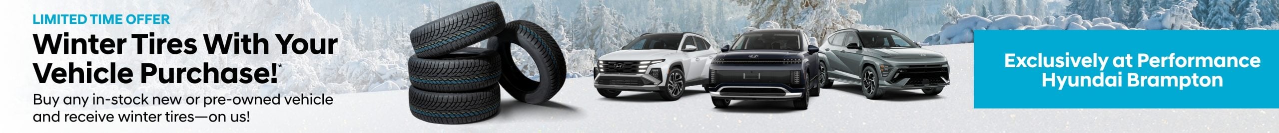 Limited Time Offer | Winter Tires With Your Vehicle Purchase!